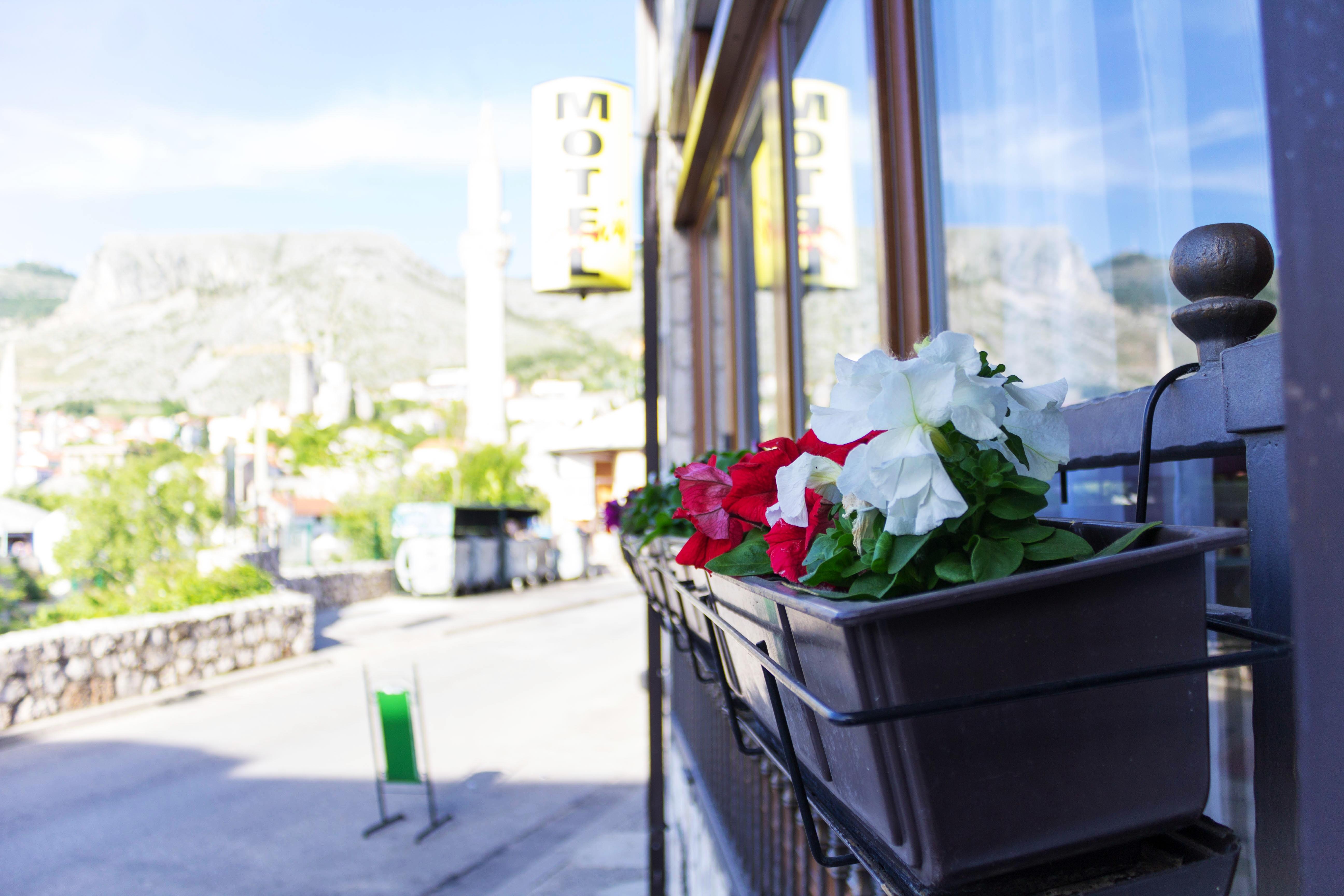 Villa Deny Mostar - With Free Parking Екстериор снимка